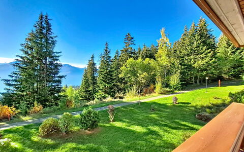 Crans-Montana 480: Boom, Landschap, Heuvel, Heuvel Station, Bergketen, Lariks, Woud, Vallei, Helling, Ridge