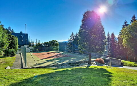 Crans-Montana 480: Blauw, Lucht, Boom, Lariks, Helling, Gazon, Landscaping, Evergreen, Park
