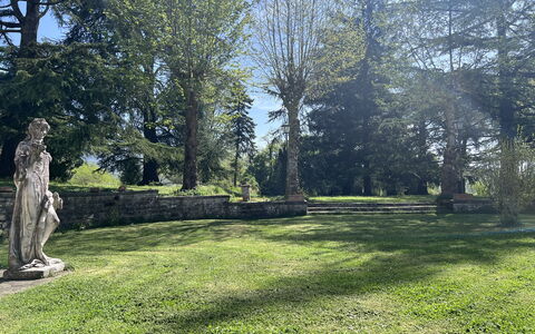 Villa Il Parco: Boom, Gras, Blad, Natuur, Afdeling, Struik, Tuin, Trunk, Gazon, Groundcover