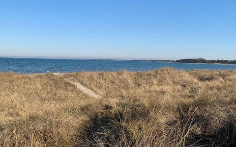 Evtim - 275M from the Sea: Kust, Zee, Horizon, Kust En Oceanic Landvormen, Ecoregio, Kust, Strand, Oceaan