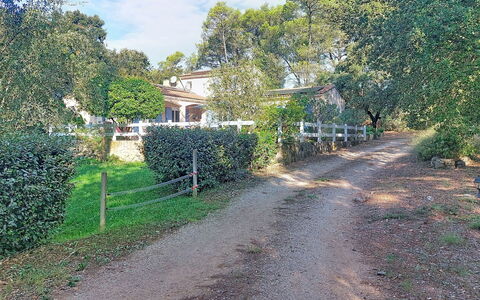 Moun Pantai: Boom, Struik, Landgoed, Verblijf, Bodem, Voorstad, Schaduw, Trail, Hacienda, Oprit