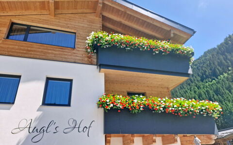 Augl'S Hof: Balkon, Kamerplant, Hotel, Luifel