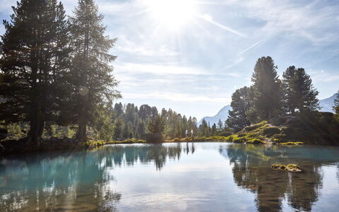 Augl'S Hof: Blauw, Water, Zwemwater, Watervoorraden, Boom, Groen, Natuur, Natuurlijk Landschap, Reflectie, Wildernis
