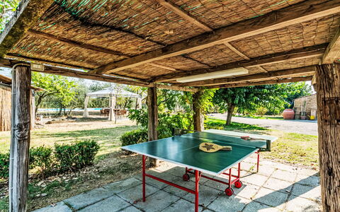 Podere degli Ulivi: Zwembad, Buitenmeubels, Tuin, Meubilair, Toevlucht, Schaduw, Eco Hotel, Backyard, Vrije Tijd, Stoel