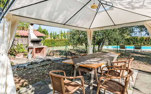 Podere degli Ulivi: Zwembad, Buitenmeubels, Tuin, Meubilair, Toevlucht, Schaduw, Eco Hotel, Backyard, Vrije Tijd, Stoel
