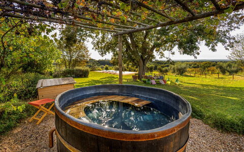 Villa Mare, Bolgheri: Tuin, Zwembad, Landscaping, Werf, Backyard, Vat, Bad, Waterpartij, Eco Hotel