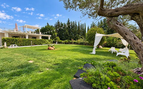 Casa Spassu: Gras, Boom, Groen, Struik, Tuin, Landschap, Land Lot, Gazon, Groundcover