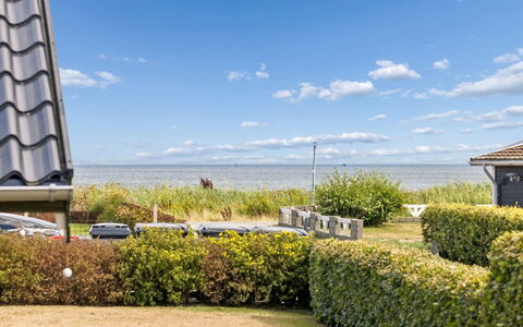 Aster - 100M from the Sea: Wolk, Land Lot, Gazon, Haag, Verblijf, Schaduw, Landscaping, Tuin, Landgoed, Werf