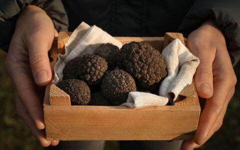 Pod Meloni: Ingrediënt, Voedsel, Nagerecht, Superfood
