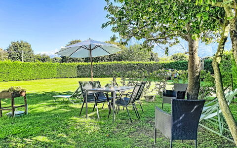 Carla: Gras, Groen, Struik, Meubilair, Tuin, Land Lot, Gazon, Buitenmeubels, Groundcover, Schaduw