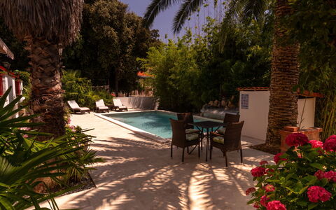 Botanica: Appartement, Toevlucht, Zwembad, Condominium, Balkon, Hotel, Eco Hotel, Villa, Kamerplant