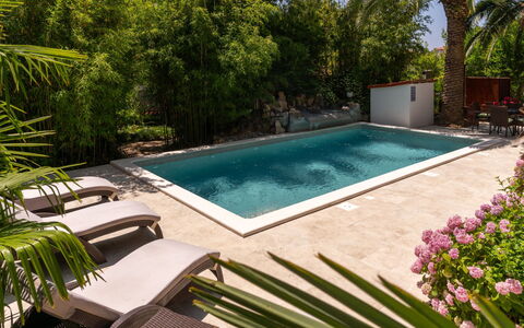 Botanica: Appartement, Toevlucht, Zwembad, Condominium, Balkon, Hotel, Eco Hotel, Villa, Kamerplant