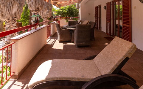 Botanica: Appartement, Toevlucht, Zwembad, Condominium, Balkon, Hotel, Eco Hotel, Villa, Kamerplant