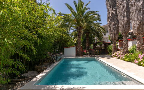 Botanica: Appartement, Toevlucht, Zwembad, Condominium, Balkon, Hotel, Eco Hotel, Villa, Kamerplant