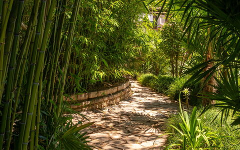 Botanica: Appartement, Toevlucht, Zwembad, Condominium, Balkon, Hotel, Eco Hotel, Villa, Kamerplant