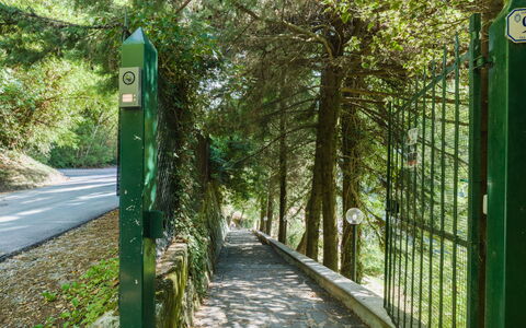 Casa Il Noce: Appartement, Toevlucht, Zwembad, Condominium, Balkon, Hotel, Eco Hotel, Villa, Kamerplant