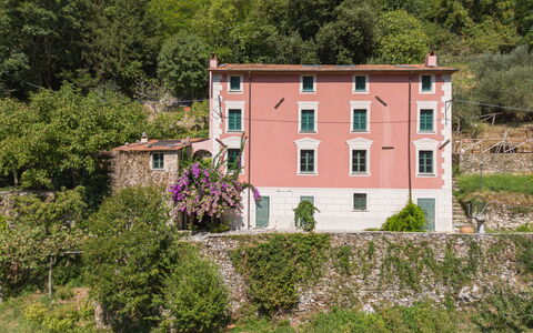 Casa Il Noce: Appartement, Toevlucht, Zwembad, Condominium, Balkon, Hotel, Eco Hotel, Villa, Kamerplant