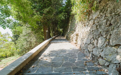Casa Il Noce: Appartement, Toevlucht, Zwembad, Condominium, Balkon, Hotel, Eco Hotel, Villa, Kamerplant