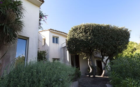 Cala Rossa: Muur, Woongebied, Struik, Huis, Architectuur, Huis, Dak, Landgoed, Tuin, Hacienda