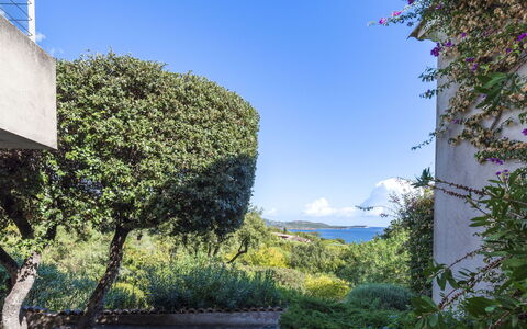 Cala Rossa: Blauw, Lucht, Groen, Blad, Vegetation, Struik, Plantengemeenschap, Zee, Kust En Oceanic Landvormen