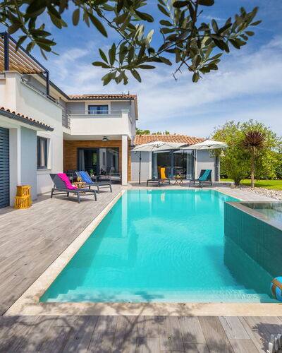 Irena: Steen, Landgoed, Tuin, Voorstad, Oprit, Landscaping, Werf, Hacienda, Boerderij, Backyard