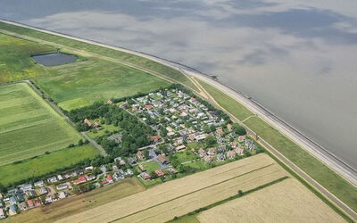 Wiringherlant