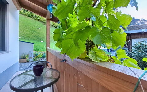 Oberladstätter: Schaduw, Beits, Hardwood, Eco Hotel, Balkon, Kamerplant