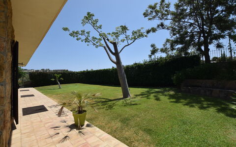 Zuccheri Canditi: Tuin, Land Lot, Gazon, Schaduw, Landscaping, Backyard, Werf, Flagstone, Gang