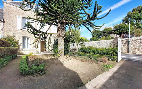 Saint Alexandre: Struik, Tuin, Landscaping, Botanische Tuin, Binnenplaats, Gang