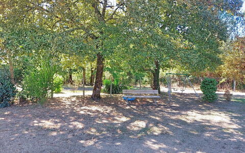 Tartoure: Blad, Boom, Afdeling, Struik, Schaduw, Trunk, Woody Plant, Bodem, Bos, Tuin