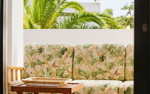 Paloma: Meubilair, Interieur Ontwerp, Woonkamer, Kussen, Buitenmeubels, Bloempot, Kamerplant, Bankstel, Schaduw