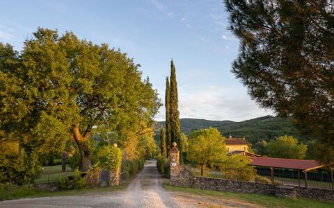 Tuscan Hamlet Relais Piettorri: Blad, Boom, Afdeling, Trunk, Zonlicht, Takje, Schaduw, Landscaping, Oprit, Schaduw