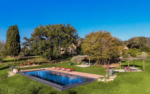 Villa Monte, Bolgheri: Boom, Zwembad, Landschap, Tuin, Vrije Tijd, Gazon, Landscaping, Park, Landgoed, Toevlucht