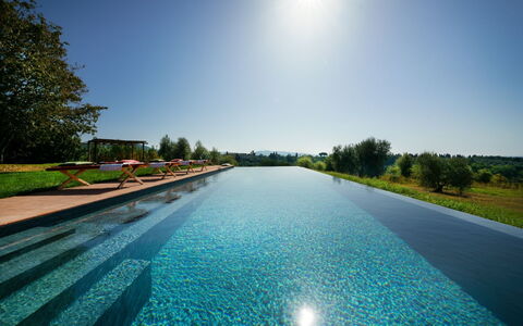 Villa Monte, Bolgheri: Blauw, Water, Zwembad, Waterloop, Reflectie, Reflecting Pool, Waterpartij, Landscaping, Toevlucht, Vijver