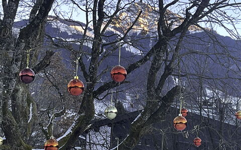 Oberndorf in Tirol 1: Blauw, Hout, Meubilair, Huis, Buitenmeubels, Stoel, Schaduw, Balkon, Beits, Eco Hotel