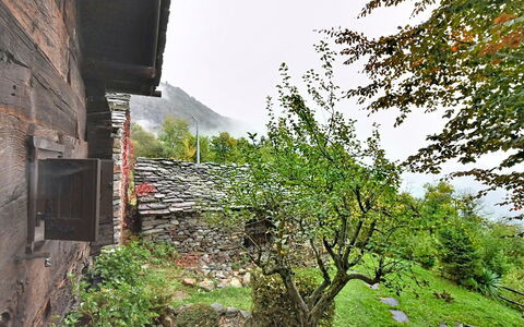 Chalet degli Gnomi: Boom, Sneeuw, Winter, Woud, Freezing, Lariks, Evergreen, Bos