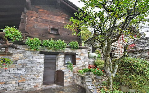 Chalet degli Gnomi: Boom, Sneeuw, Winter, Woud, Freezing, Lariks, Evergreen, Bos