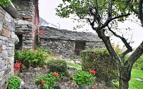 Chalet degli Gnomi: Boom, Sneeuw, Winter, Woud, Freezing, Lariks, Evergreen, Bos