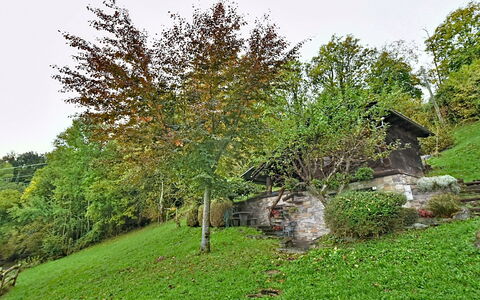 Chalet degli Gnomi: Boom, Sneeuw, Winter, Woud, Freezing, Lariks, Evergreen, Bos