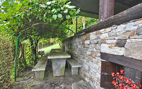 Chalet degli Gnomi: Boom, Sneeuw, Winter, Woud, Freezing, Lariks, Evergreen, Bos