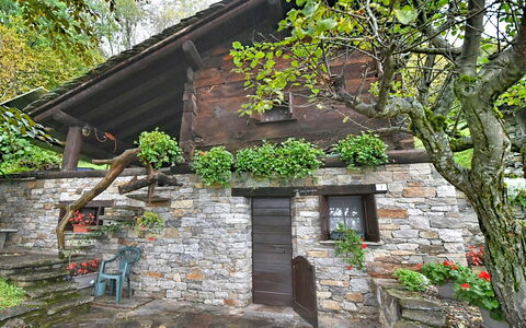 Chalet degli Gnomi: Boom, Sneeuw, Winter, Woud, Freezing, Lariks, Evergreen, Bos