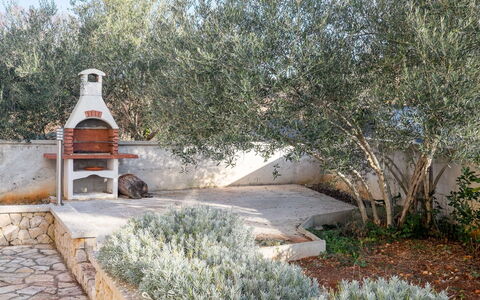 Ivana: Struik, Tuin, Woody Plant, Landscaping, Backyard, Werf, Oprit, Flagstone, Gang