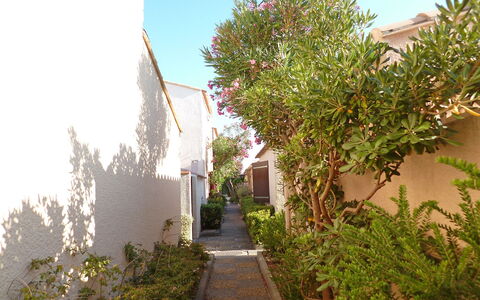 Les Leucatines 3: Boom, Eigendom, Vegetation, Onroerend Goed, Huis, Buurt, Fabriek, Architectuur, Plantkunde, Woody Plant