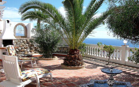 Villa Mimosa: Eigendom, Boom, Palmboom, Onroerend Goed, Gebouw, Arecales, Vakantie, Majorelle Blue, Azure, Huis