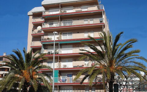 Paisos Catalans: Architectuur, Gebouw, Eigendom, Woongebied, Condominium, Appartement, Boom, Onroerend Goed, Gemengd Gebruik, Palmboom