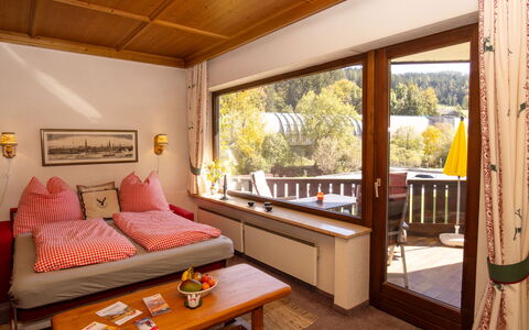 Accommodatie:&nbsp;Dachstein Top 12 5.4