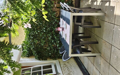 Dr.steiner: Bloempot, Buitenmeubels, Tuin, Stoel, Kamerplant, Buitentafel, Werf, Schaduw, Backyard, Beits
