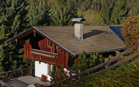 Kaiserhof: Gebouw, Eigendom, Venster, Boom, Hout, Helling, Huis, Fabriek, Land Lot, Verblijf