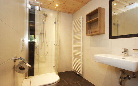 Werner: Badkamer, Eigendom, Kamer, Interieur Ontwerp, Loodgieterswerkinrichting, Tegel, Architectuur, Gebouw, Muur, Plafond
