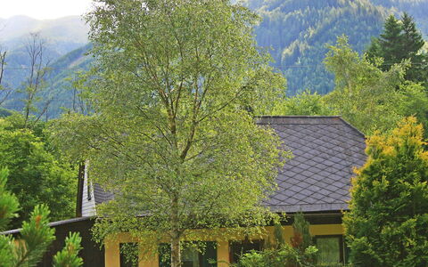 Richter: Natuur, Boom, Vegetation, Huis, Berg, Heuvel Station, Eigendom, Bergachtig Landvormen, Huis, Dak